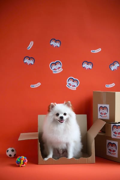 Shop Pets