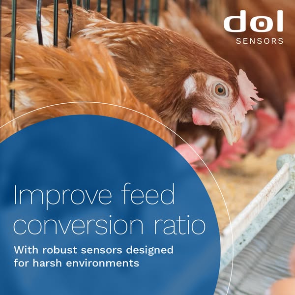 Conversion Optimization
