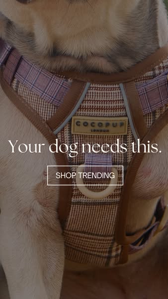 Shop for trending products