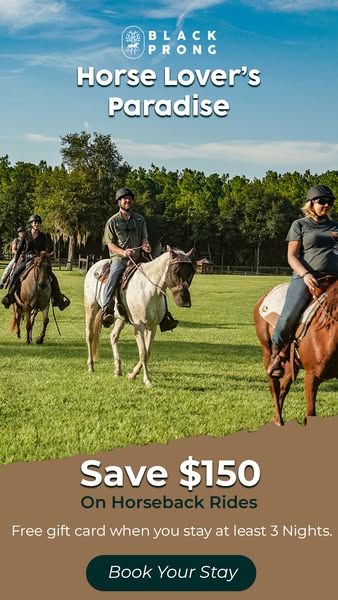 horseback