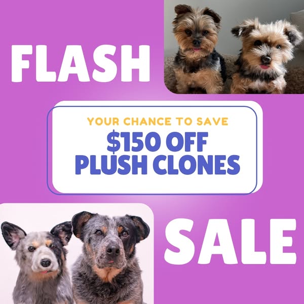 Shop for Pet Lovers