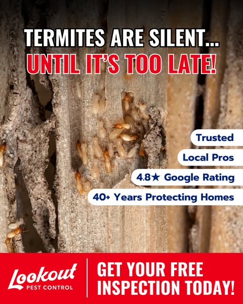 Eco-friendly inspection