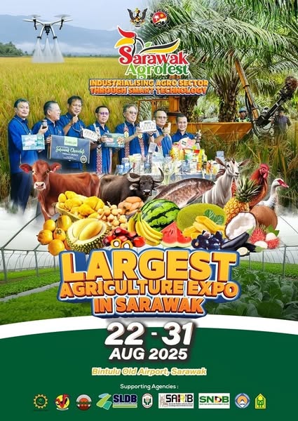 Eco-friendly Products