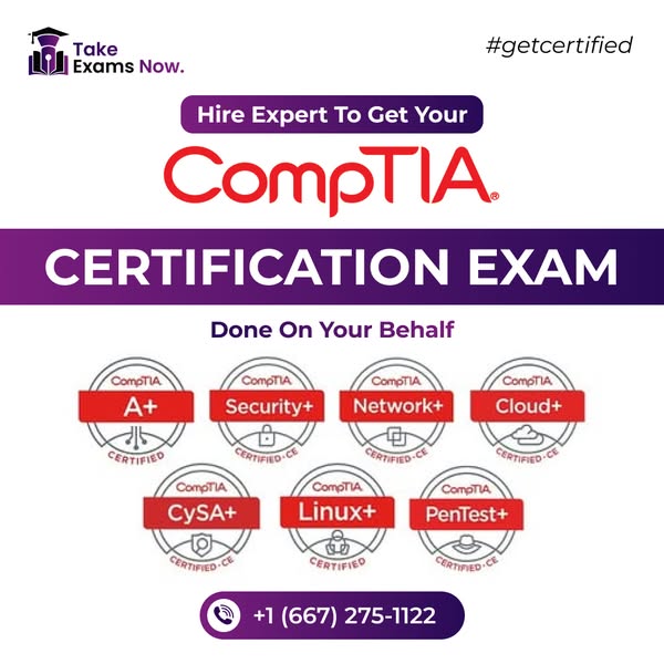 24/7 customer support