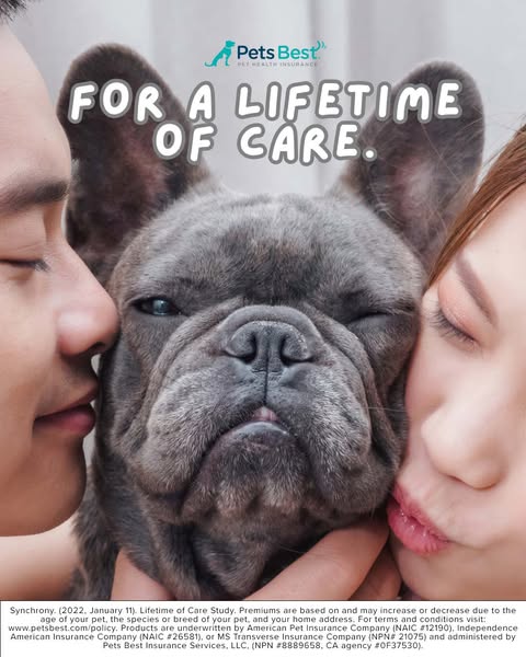 Pet care products