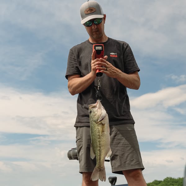Shop for Smart Scales