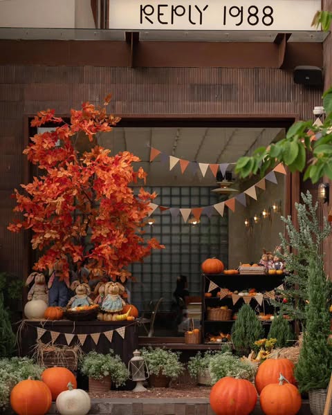 Shop for kitchenware