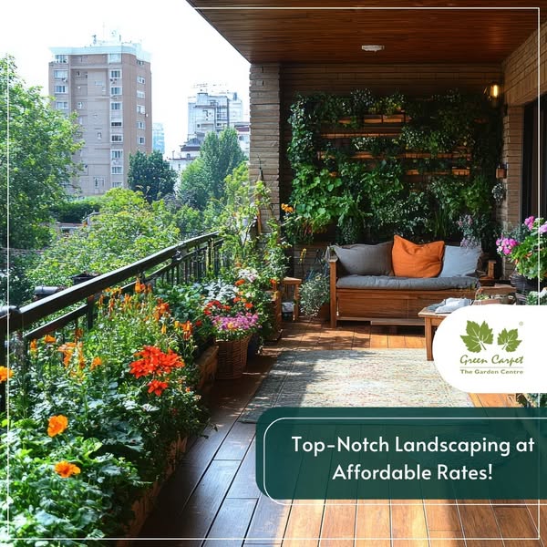 Budget-friendly garden