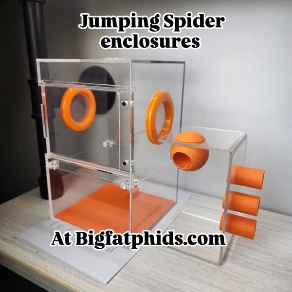 Shop for pet supplies