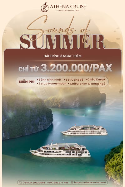 Ideal premier