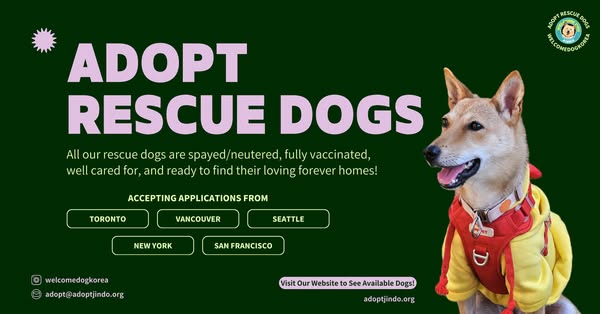 Brand-new adopt