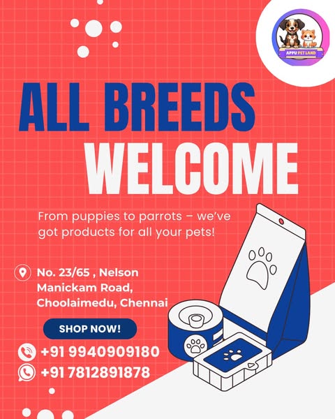 Shop for Pet Toys