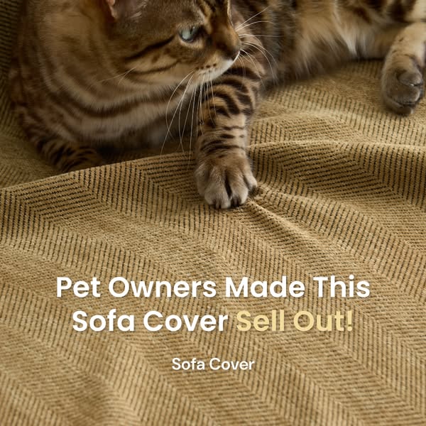 Shop for Pet Owners