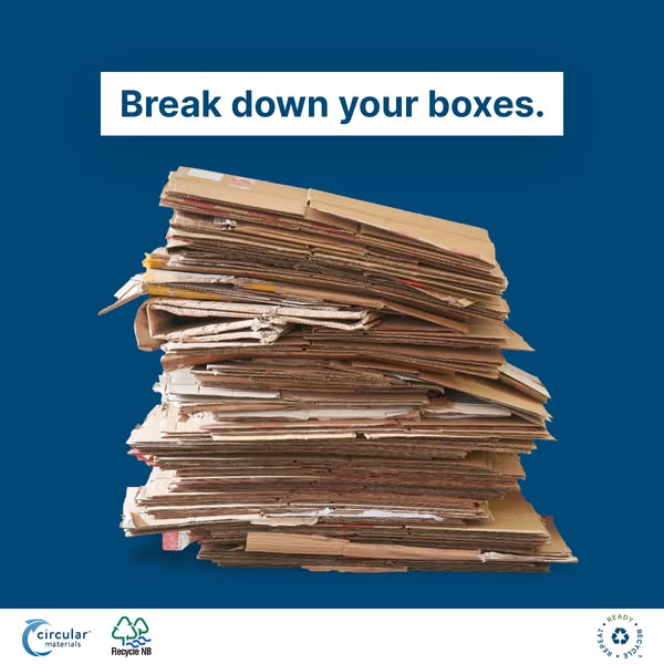 Cardboard Boxes