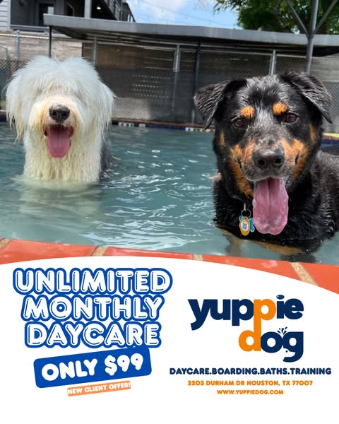 Unlimited boarding