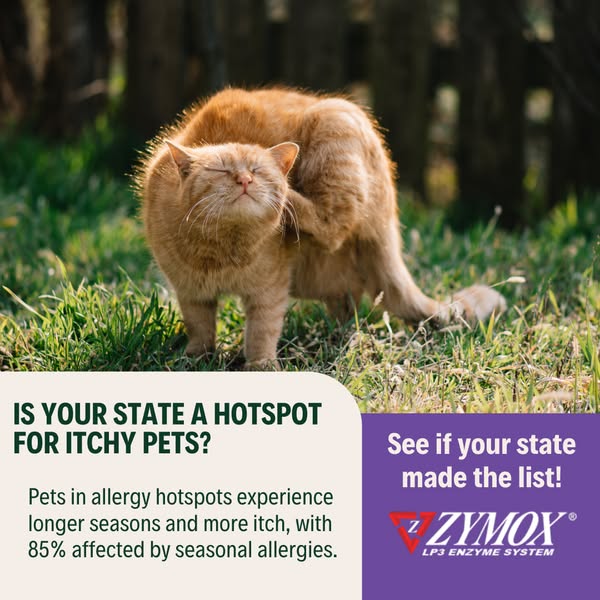 Shop for pet care products