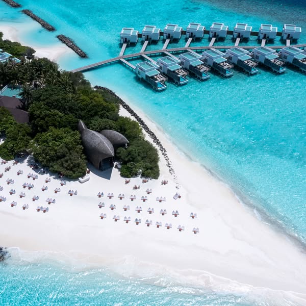 Exceptional cancellation