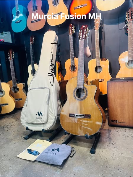 Acoustic Guitar