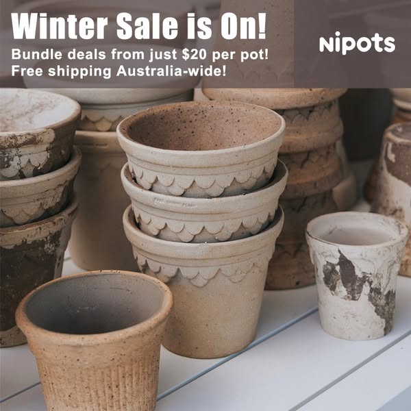 Shop Sustainable