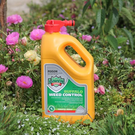 Perfect insecticide