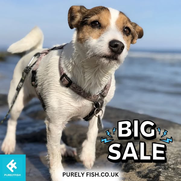 Shop for pets