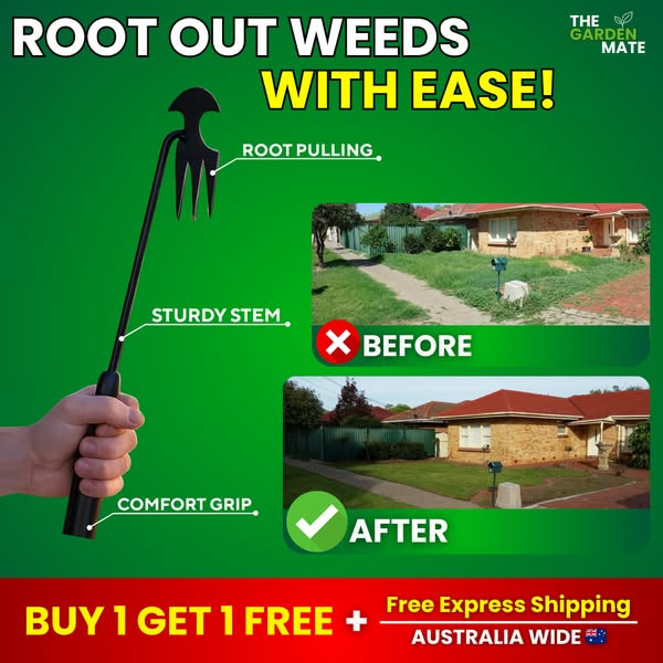 Shop Garden