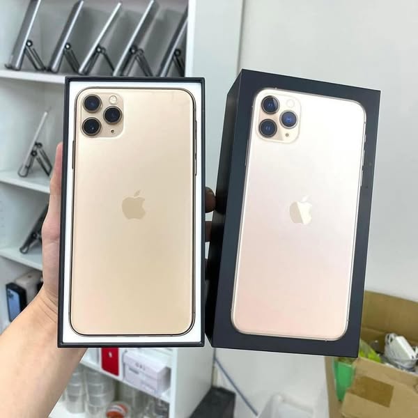 Brand-new pro