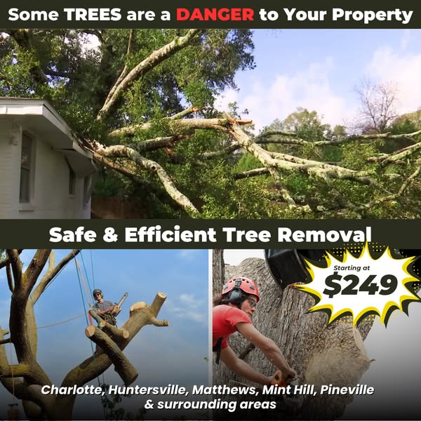 Safe obstruct