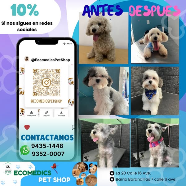 Shop for pet grooming