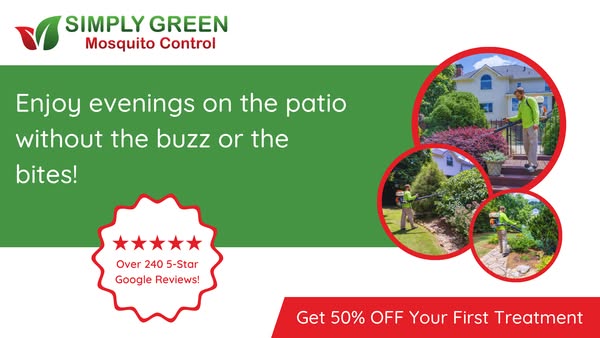 Patio, Lawn & Garden
