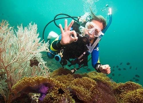 Complete scuba