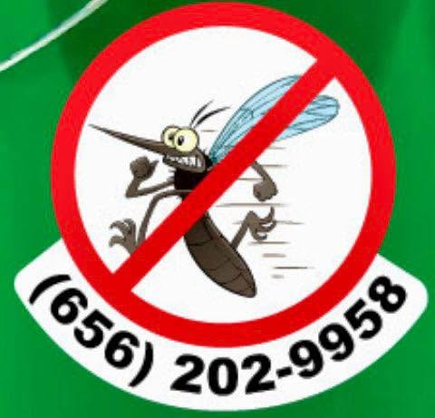 Eco-friendly mosquito