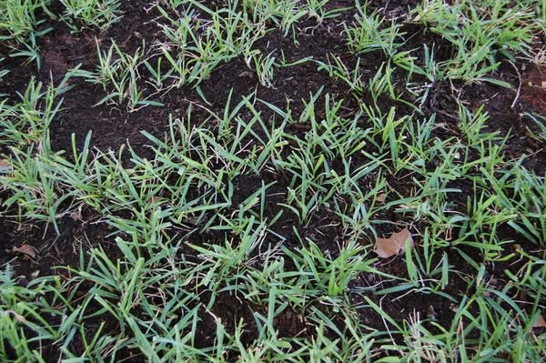 topsoil