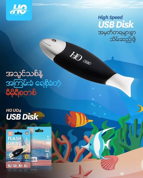USB Flash Drive