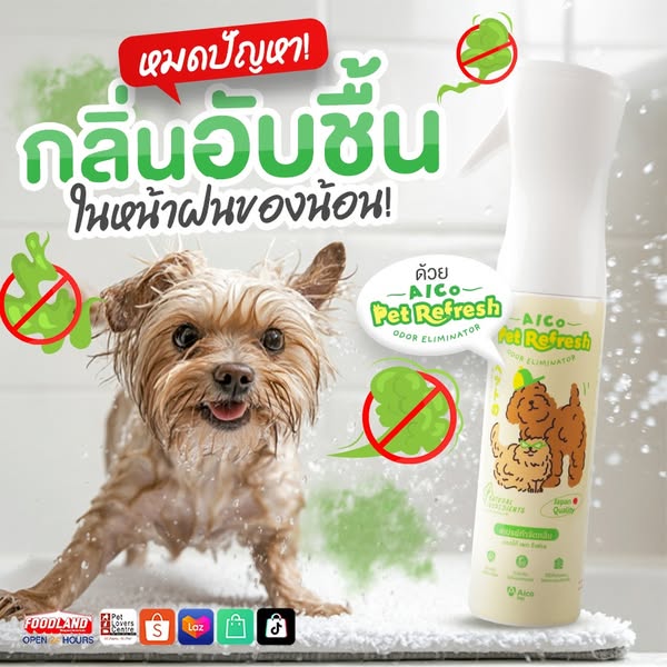 Shop for Pet Lovers
