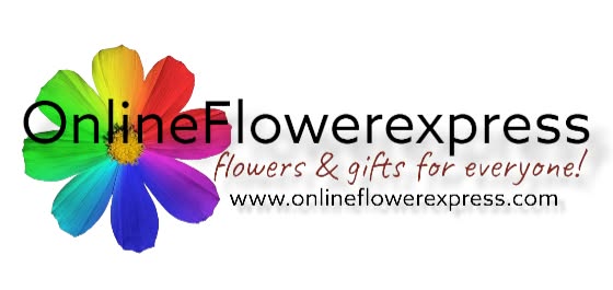 Gift Ideas
