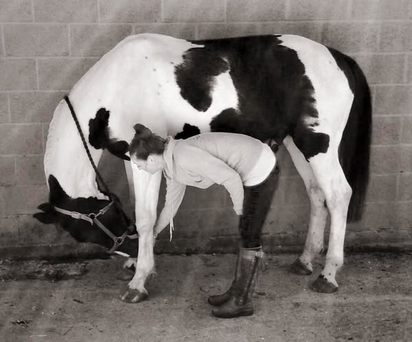 Gentle riding