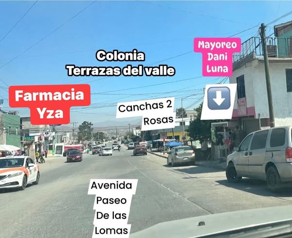 Ideal development