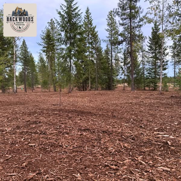 Fresh forestry