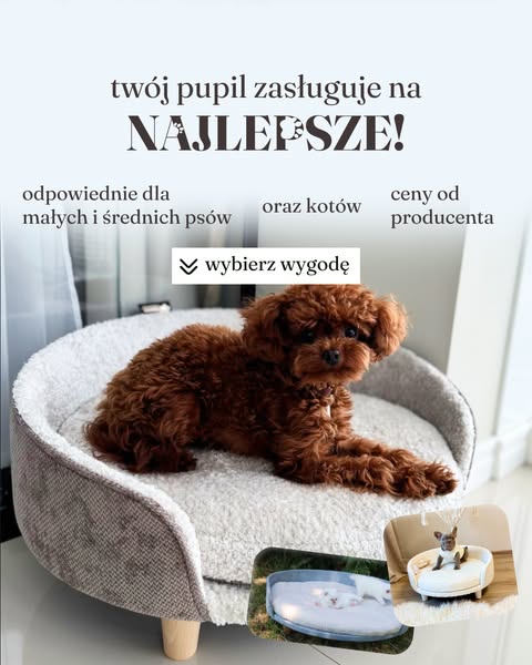 Shop Pets