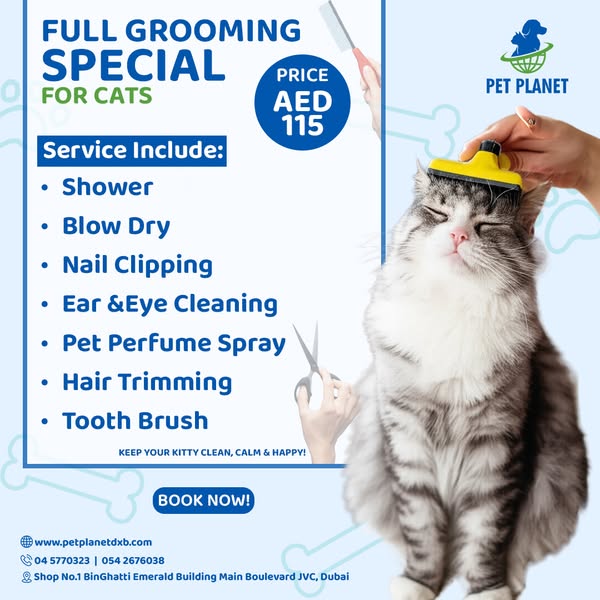 Shop for pet grooming