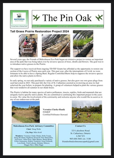 newsletter