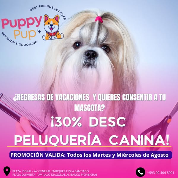 Shop for pet grooming