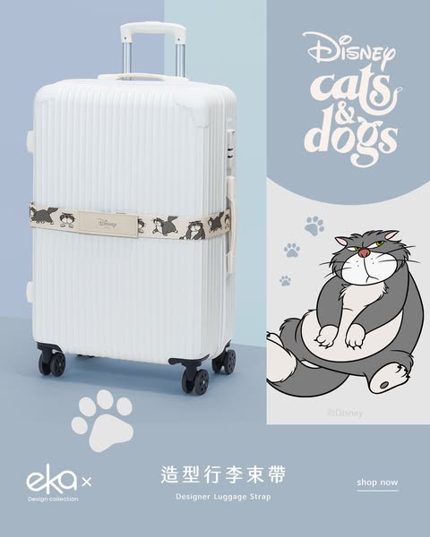 Shop for luggage