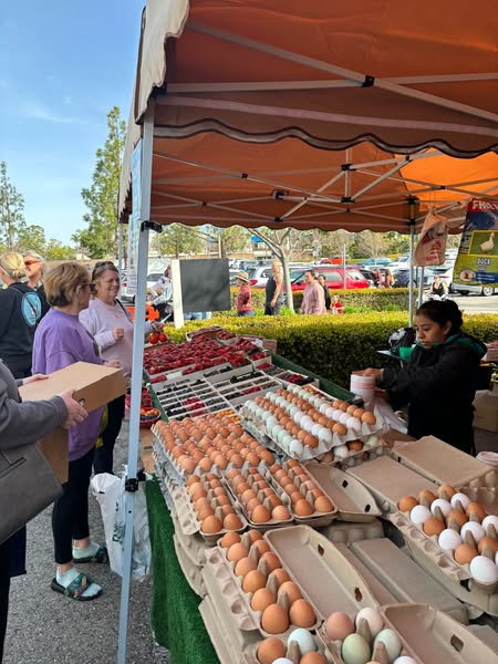 Farm Fresh Eggs