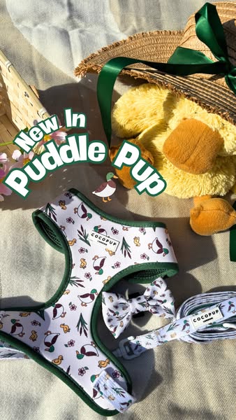 Brand-new puddle