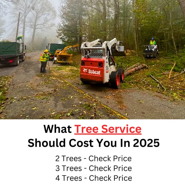 Budget-friendly management