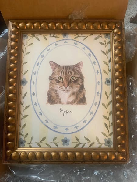 Ideal pet