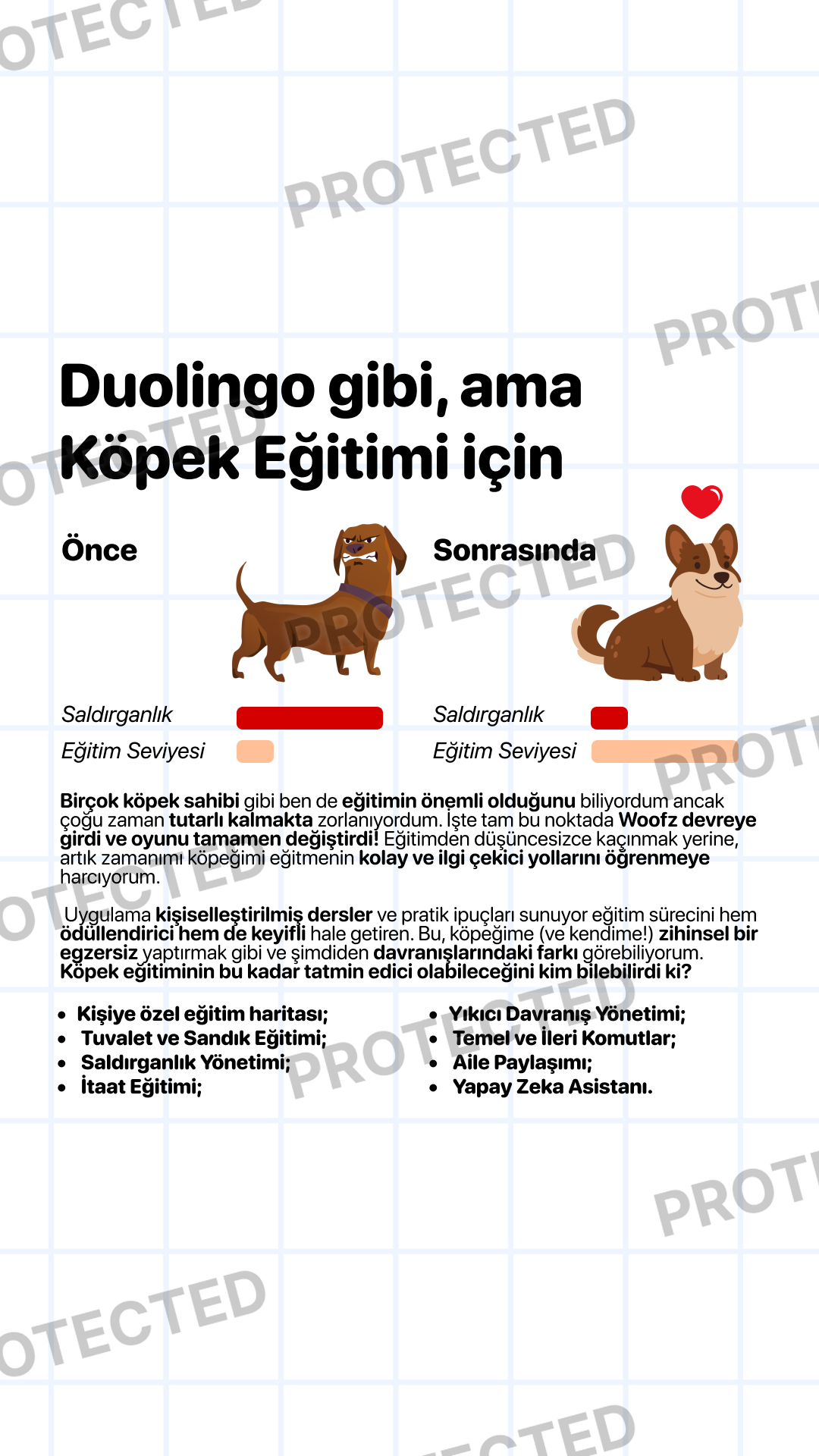 Duolingo