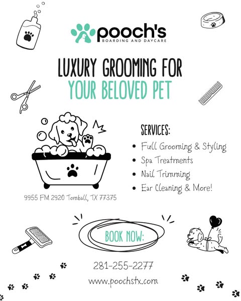 Shop for Pet Grooming